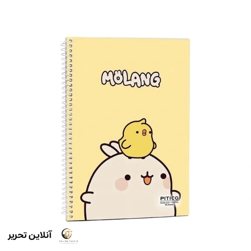 دفتر دوخط زبان pitico کد 04